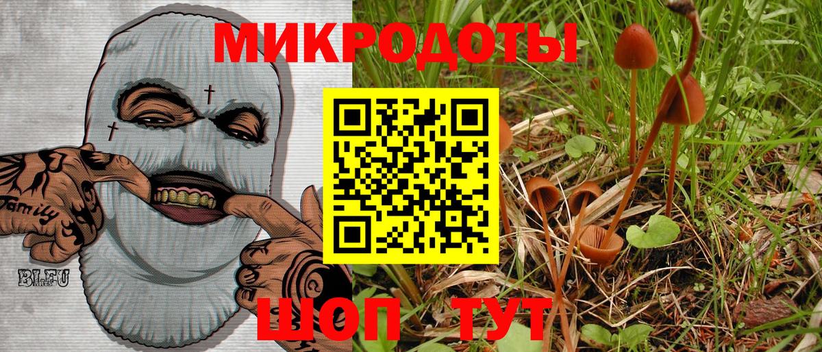Нижний Новгород  Псилоцибиновые грибы Psilocybine cubensis  Вход с VPN 