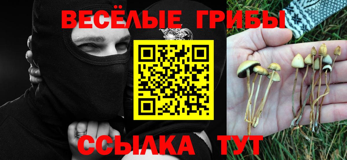 Псилоцибиновые грибы Magic Shrooms Нижний Новгород
